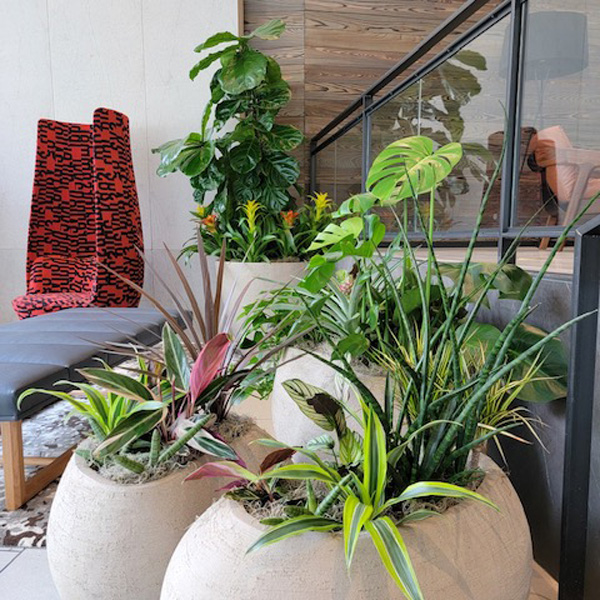 interior plantscaping