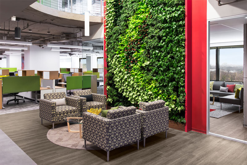 Workspace design featuring green wall by Oasis Plantscaping