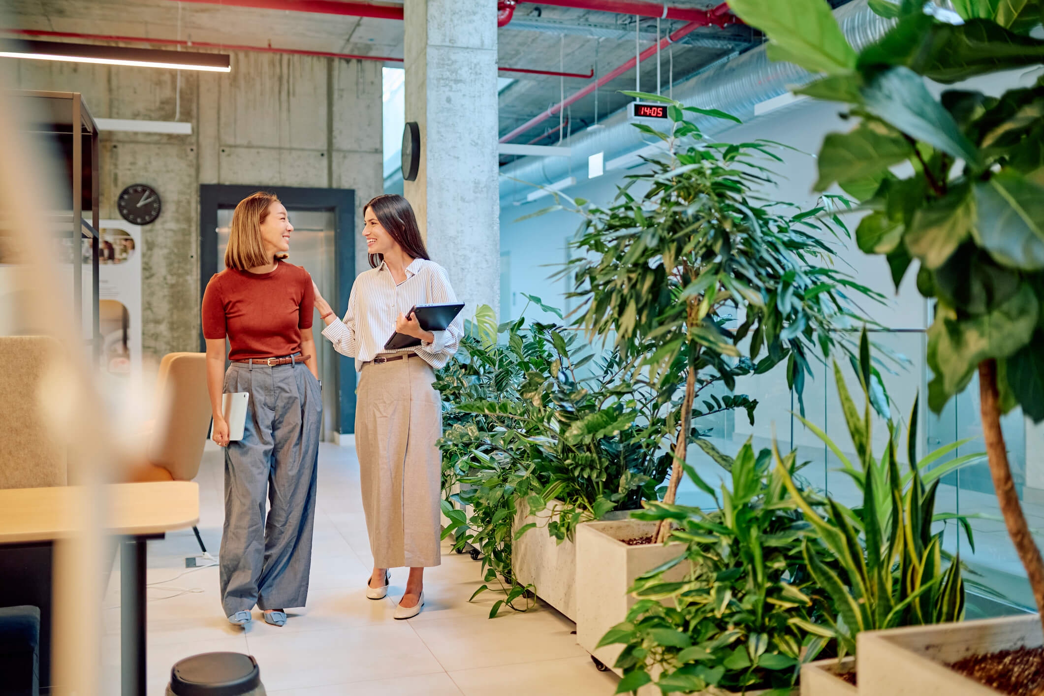 Office interior alive with plants and biophilic style in Washington, DC
