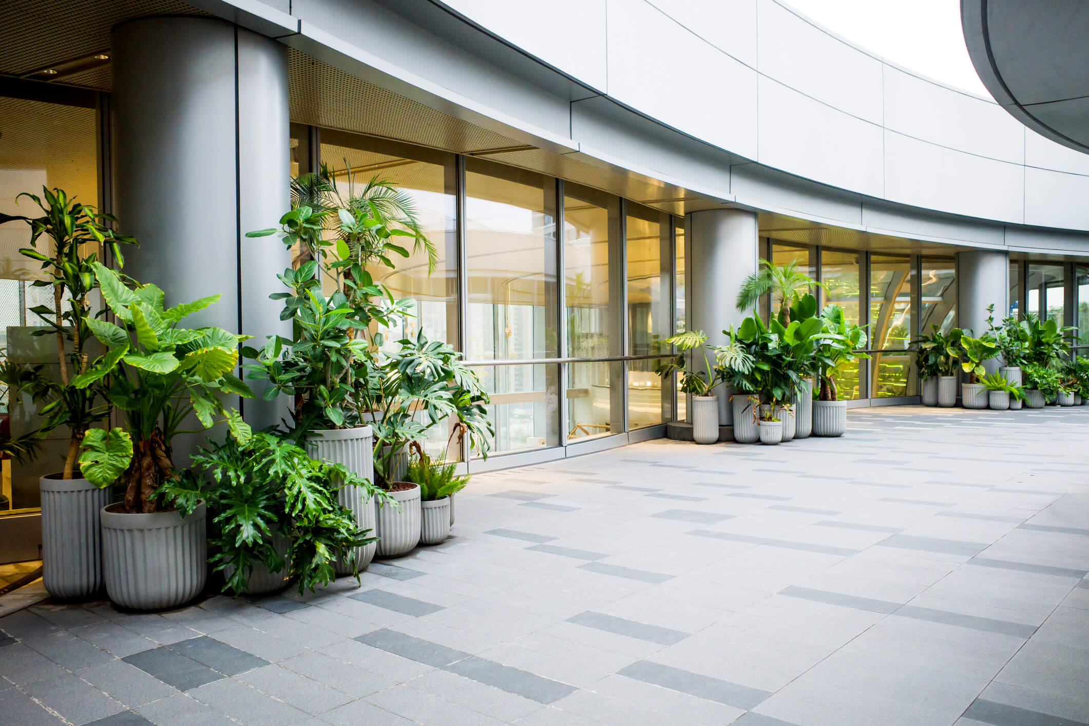Grand entrance with lush potted plants, projecting professionalism and warmth by Oasis Plantscaping.