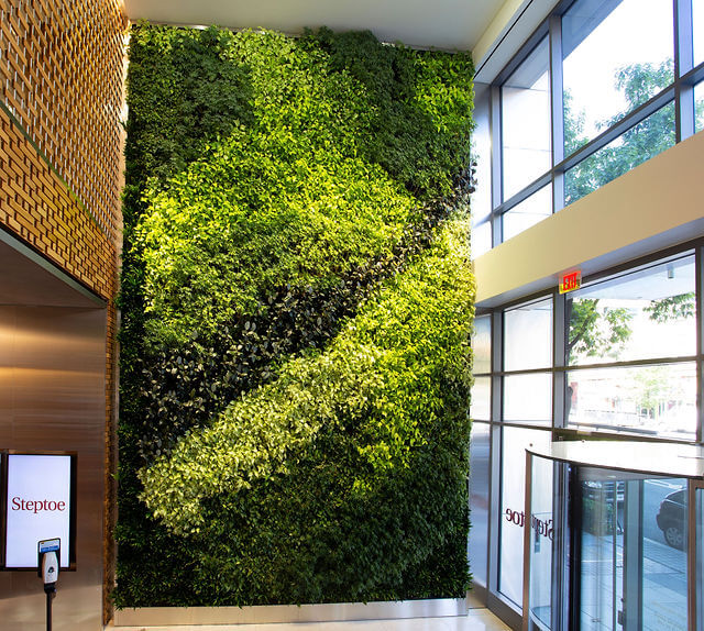 A large green wall featuring lush plants in Washington, D.C.