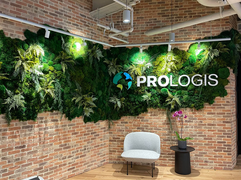 Biophilic design comes alive in Washington, DC office with a vibrant moss wall