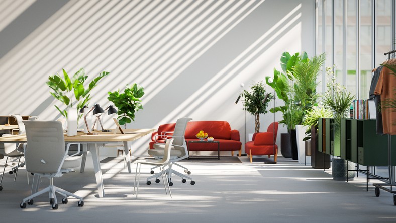 Indoor oasis with lush office plants and modern workspace design in Washington DC